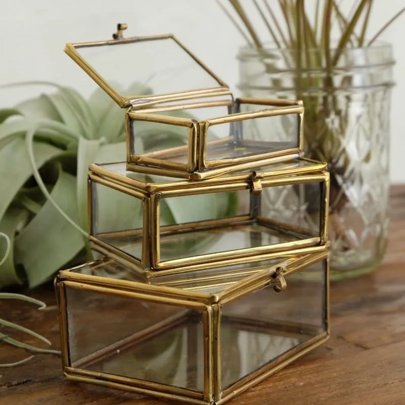 Live counter display 3